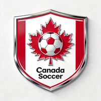 加拿大国家男子足球队队徽，枫叶与足球图案